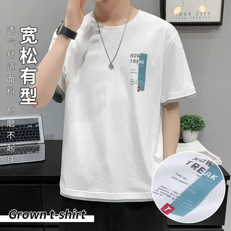 夏季薄款短袖t恤男宽松休闲假两件印花男士短袖圆领套头青年上衣商品大图