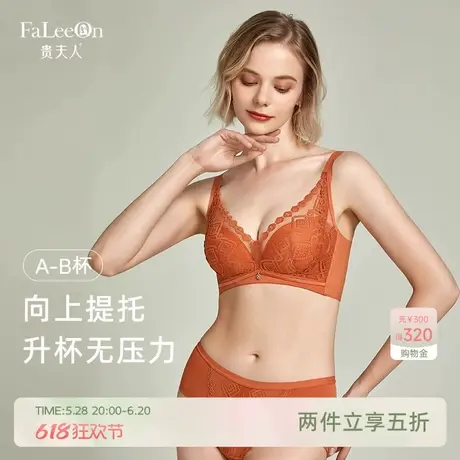贵夫人性感蕾丝内衣女小胸聚拢调整型收副乳提托加厚款蚕丝文胸罩商品大图