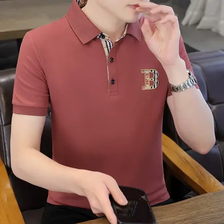 休闲短袖男士polo衫夏季纯棉翻领半袖t恤潮牌百搭刺绣花打底衫ins商品大图