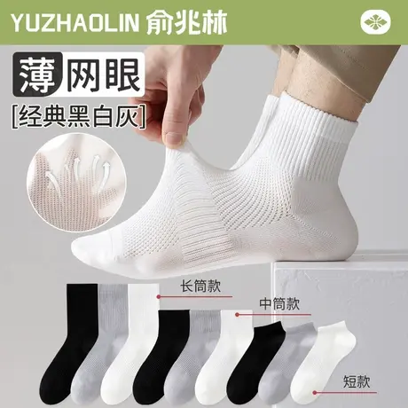白色袜子男士中筒袜夏季薄款网眼透气短袜纯棉防臭运动吸汗春秋款商品大图