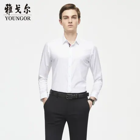 【易打理】V系雅戈尔衬衫秋季商务休闲柔软舒适纯棉衬衣长袖衬衫商品大图