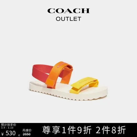 COACH/蔻驰奥莱男士彩虹运动凉鞋图片