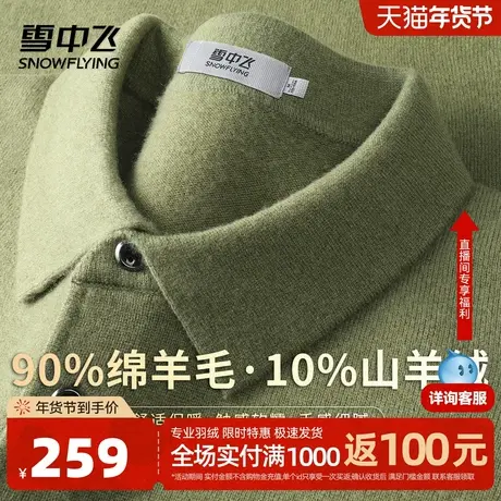 雪中飞【轻奢10羊绒】内搭羊毛衫男简约保暖含羊毛软糯套头衫W图片