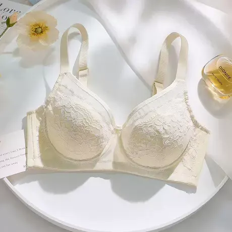 浪漫春天春夏新品内衣女大胸显小软钢圈上托聚拢调整型蕾丝文胸商品大图