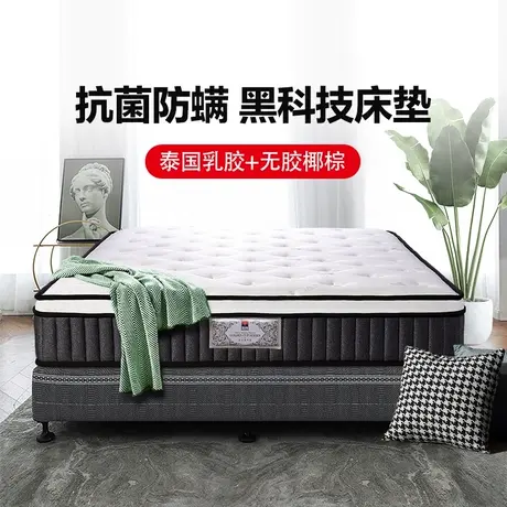 富安娜床垫泰国乳胶床垫防螨席梦思独袋弹簧床垫软硬两用椰棕床垫商品大图