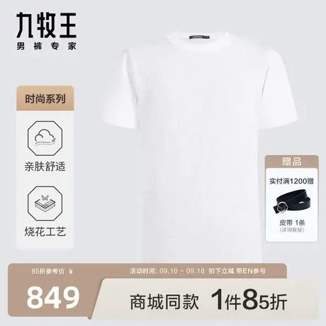 [商场同款]九牧王男装HT2C20717短袖T恤23夏新款圆短透气舒适EN图片