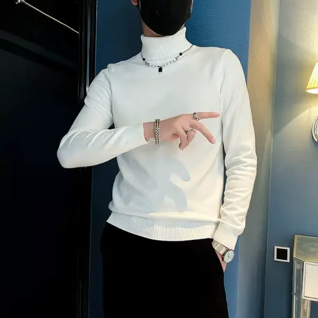 高领毛衣男秋冬纯色简约套头内搭针织衫青年修身打底线衣毛线体恤商品大图