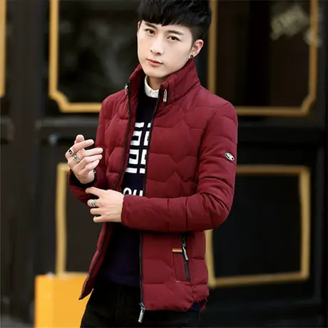 冬季男外套棉衣韩版短款个性百搭立领潮流冬装羽绒棉服帅气棉袄男图片