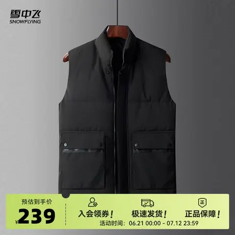 雪中飞2025秋新款男士爸爸款立领羽绒外穿背心大口袋纯色百搭商品大图