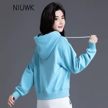 学院风天蓝色卫衣连帽女款2024年新款爆款早春短款上衣小个子外套图片