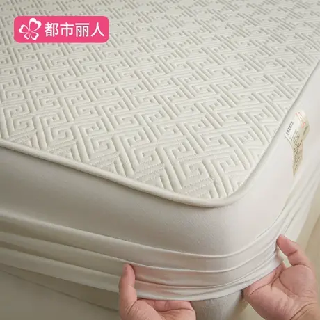 2025新款纯棉床笠加厚大豆夹棉床套三件套席梦思保护套罩四季通用商品大图