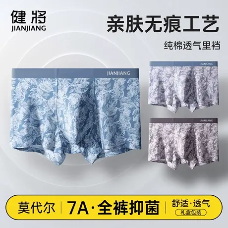 健将莫代尔男士内裤男生夏季薄款平角裤男式无痕透气抗菌四角短裤商品大图