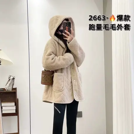 高级感毛毛绒外套女秋冬2023年新款连帽洋气保暖外搭上衣加厚女装图片