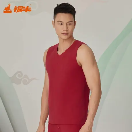 铜牛氨基酸柔润绒V领男背心 秋冬上衣男NB036商品大图
