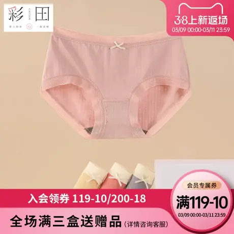 彩田新款棉莫混纺中腰条纹蝴蝶结蕾丝边抗菌底裆透气舒适三角裤女图片