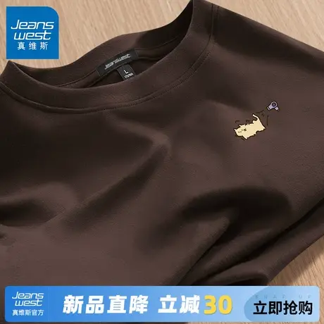 GV真维斯咖色美式复古男T恤磨毛春秋季套头衫宽松大码男士打底衫C图片