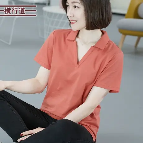 2024夏装全棉短袖t恤女士纯色V领打底衫宽松翻领上衣体桖纯棉半袖商品大图