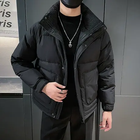 羽绒服男冬季2023新款条纹立领设计感个性简约轻熟短款白鸭绒外套图片