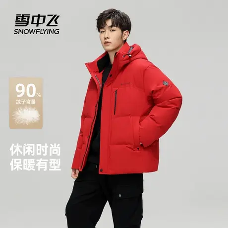 雪中飞2025冬新款羽绒服男士时尚休闲保暖潮简约百搭纯色户外商品大图