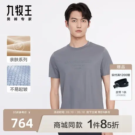[商场同款]九牧王男装JT2C25247短袖T恤23春夏新款休闲百搭舒适EN图片
