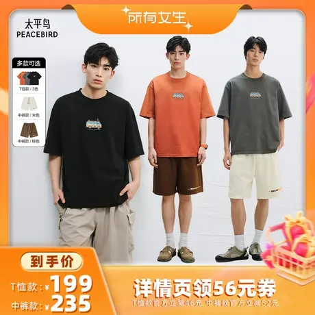 【晚心联名】太平鸟男装 刺绣重磅短袖T恤25夏新款水洗圆领体恤衫商品大图