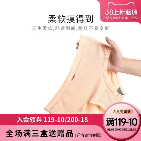2023春季新款内裤女时尚中腰莫代尔抗菌底裆纯色女士三角内裤图片