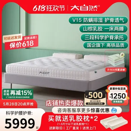 大自然品牌植物山棕榈棕床垫软硬两用席梦思乳胶1.5米床垫1.8 V15商品大图