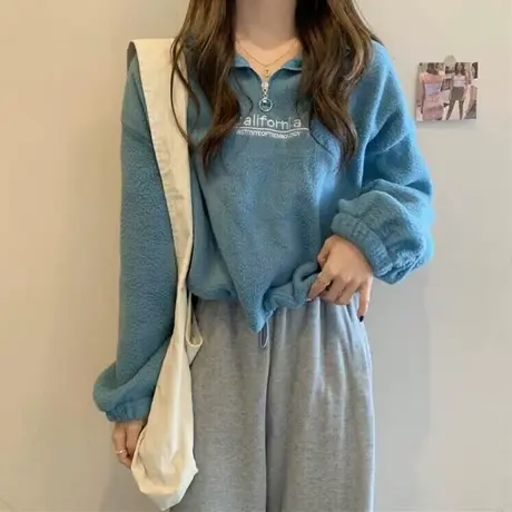 小个子短款羊羔绒卫衣女秋冬季加绒加厚宽松保暖半高领上衣外套潮商品大图