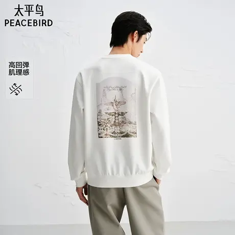 【商场同款】太平鸟男装 潮流高弹力圆领套头肌理卫衣男B1CRF3310图片