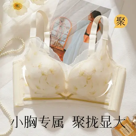 梦芭蒂小胸聚拢显大不空杯内衣女上托有型防下垂收副乳无钢圈文胸商品大图
