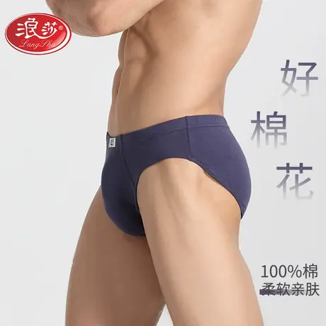 4条装 浪莎内裤男士三角裤纯棉内裤三角内裤中腰舒适全棉短裤头男商品大图
