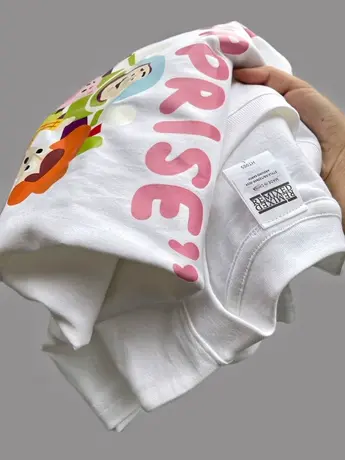 重磅纯棉白色短袖t恤女春夏宽松圆领港味chic小众设计感半袖上衣商品大图