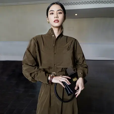 风衣式连衣裙秋装女2023年新款棉服女装新疆长绒棉大衣外套长款图片