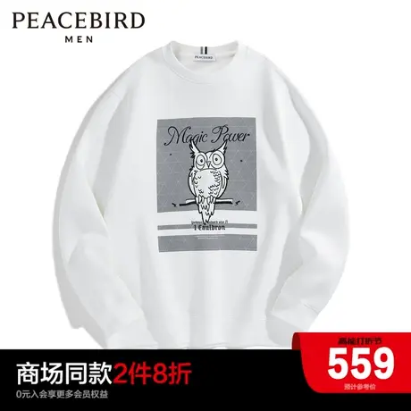 【商场同款】太平鸟男装 2024年春季新款圆领刺绣卫衣男B1CRD4434图片