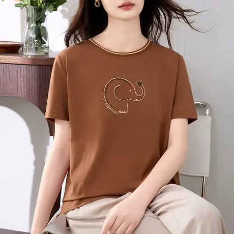 精致设计感纯棉t恤女夏装时髦遮肉显瘦休闲上衣圆领正肩半袖体恤图片