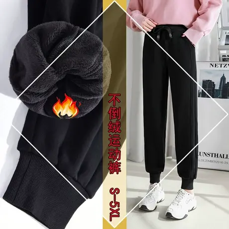 胖MM妹妹不倒绒运动裤女冬加绒加厚高腰大码宽松束脚休闲显瘦卫裤图片