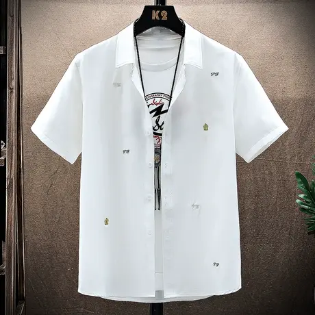 2023新款夏季韩版潮流青年条纹休闲衬衣男士上衣服帅气短袖衬衫男商品大图