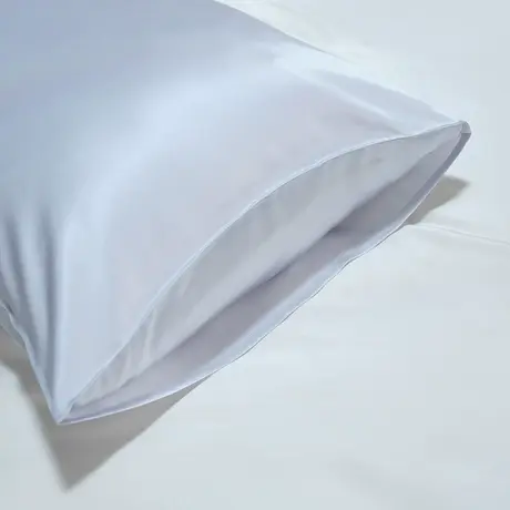 爱慕皇锦桑蚕丝素色枕套HJ11866商品大图