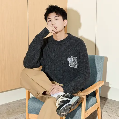 唐狮冬季男士毛衣新款圆领净色肌理花纱针织衫设计感上衣宽松TD图片