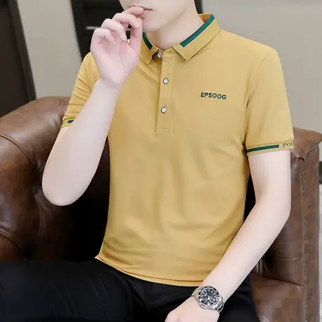 保罗Polo衫男士秋季长袖t恤纯棉翻领商务高端休闲百搭爸爸装上衣T商品大图