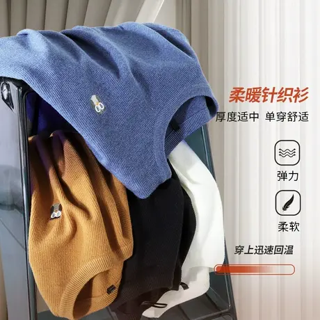 潮流高级感圆领毛衣套头针织衫男士秋冬通勤百搭刺绣打底内搭线衣商品大图