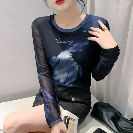 欧货圆领打底衫女长袖秋冬设计感小众印花上衣性感修身网纱T恤ins商品大图