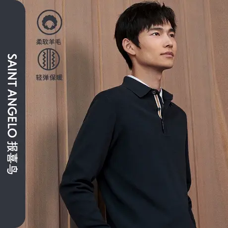 【POLO领毛衫】报喜鸟男士秋季新款商务休闲羊毛衫长袖毛衣毛衫男图片