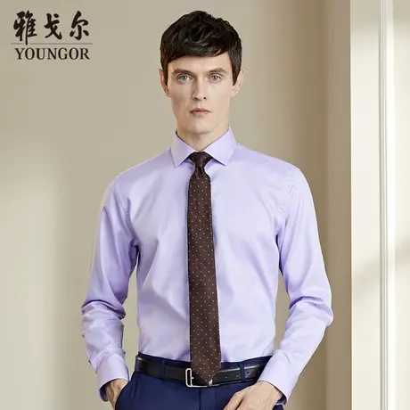 【商场同款】雅戈尔衬衫秋季商务休闲纯棉DP免烫经典衬衣1538商品大图