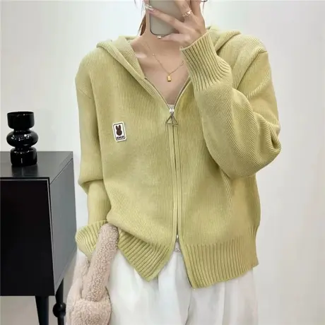 针织开衫女2023秋冬新款爆款连帽毛衣外套设计感小众休闲拉链上衣图片