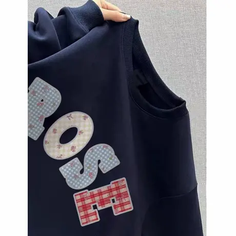 藏蓝色圆领重磅卫衣女早秋薄款2025新款爆款秋冬加绒宽松长袖上衣商品大图