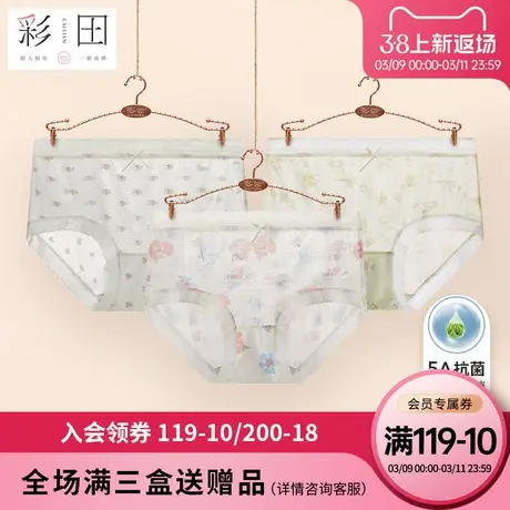 彩田新款夏季网纱透气印花蝴蝶结茶多酚抗菌底裆女士中腰三角内裤图片