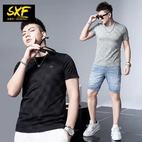 SXF圣希梵男士短袖T恤 夏装新款修身半袖上衣潮流提花格子衣服男商品大图