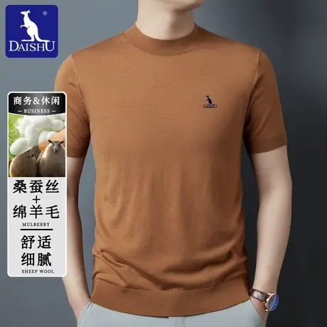 袋鼠秋季含桑蚕丝+绵羊毛短袖T恤男士时尚休闲刺绣半高领针织衫商品大图