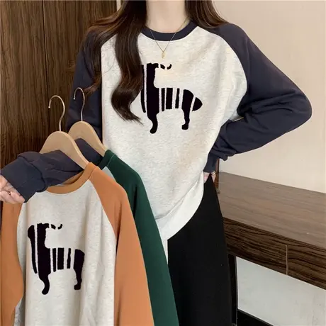 薄款卫衣女春秋2023新款韩版宽松显瘦撞色插肩袖拼接长袖上衣服潮商品大图